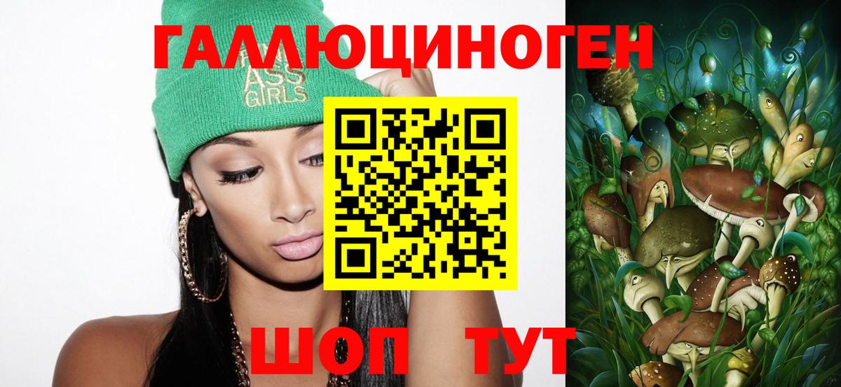 Галлюциногенные грибы Psilocybe  Галлюциногенные грибы мухоморы  Урус-Мартан  купить наркотики цена  Вход с VPN 